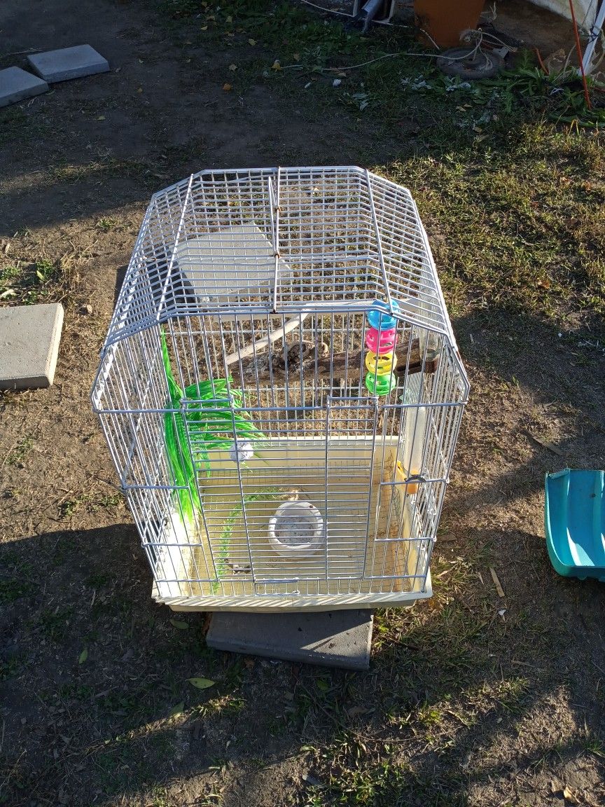 Bird Cage