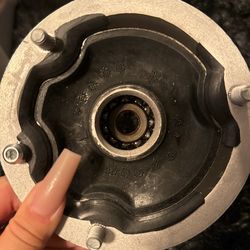 Strut Shock Mount Bearing
