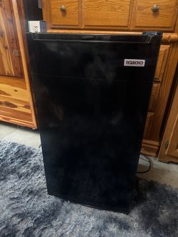 Igloo refrigerator