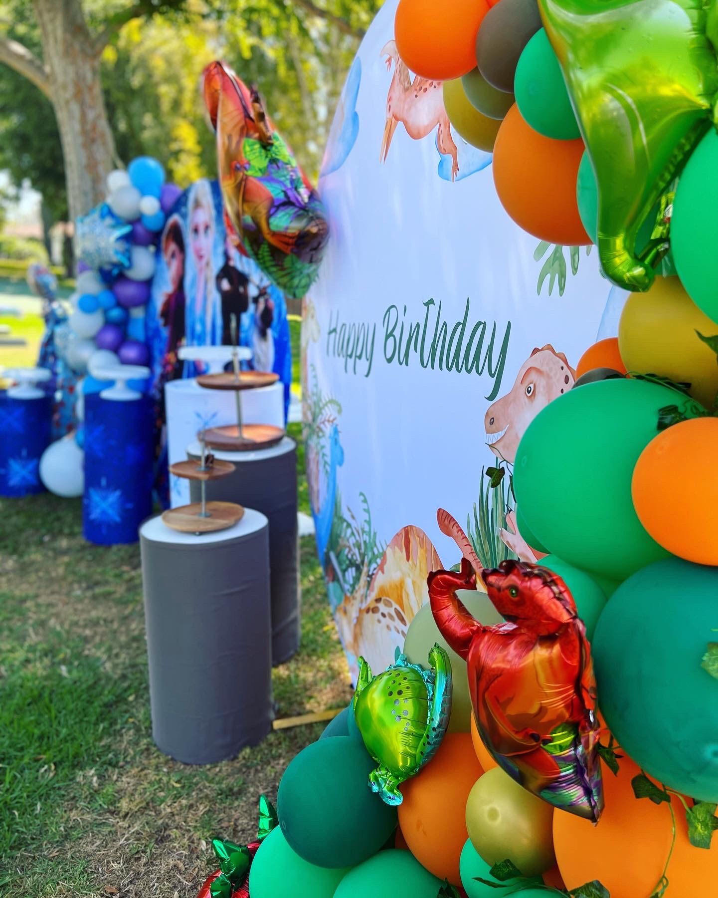 Dinasour Birthday
