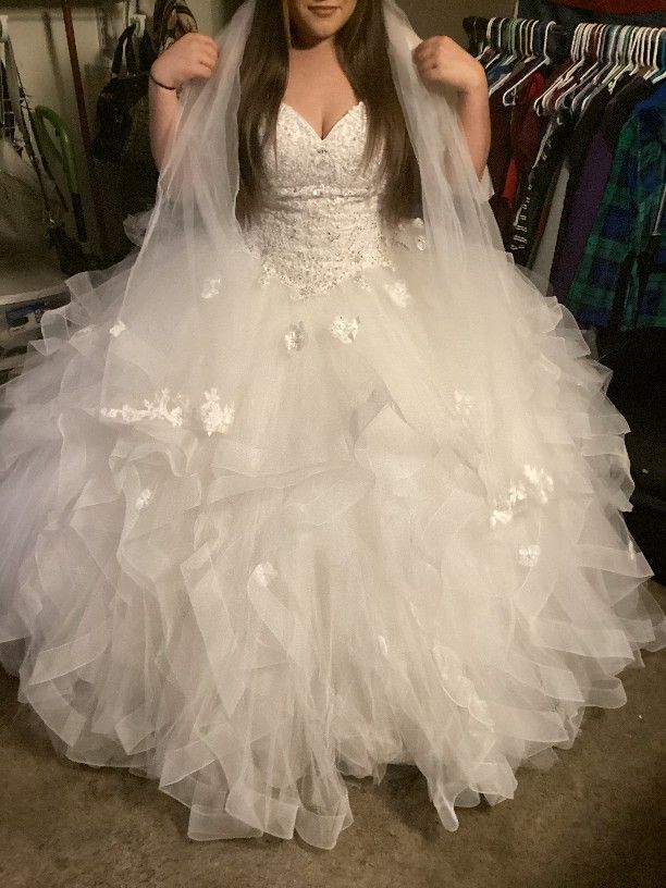 Wedding/ Quinceanera Dress