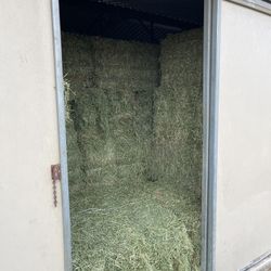 Hay Alfalfa 