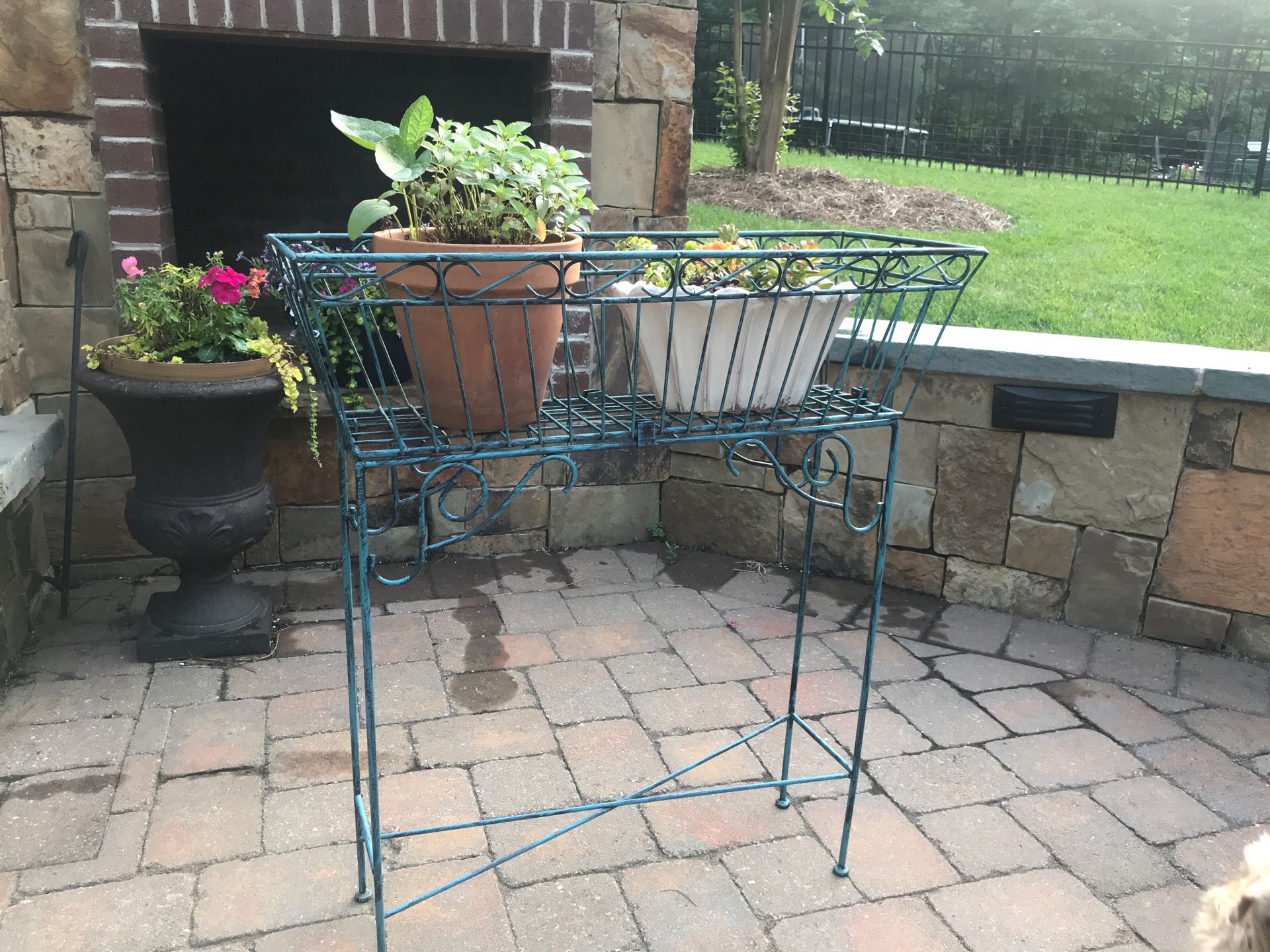 Metal antiqued plant stand plants not included