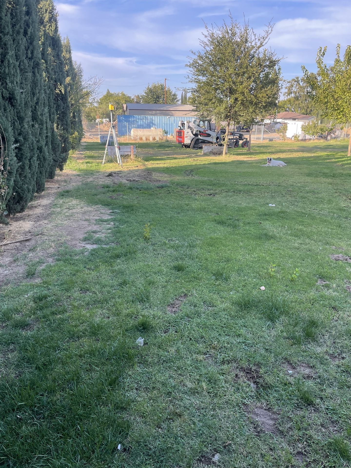 Skid Steer
