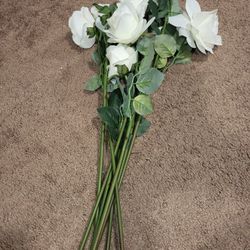8 White Long Stemmed Roses