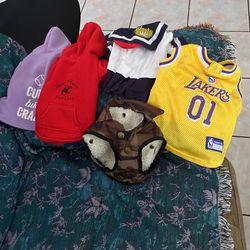 Chihuahua Clothes