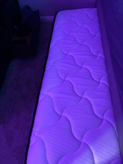 Brand new mattress ( twin )