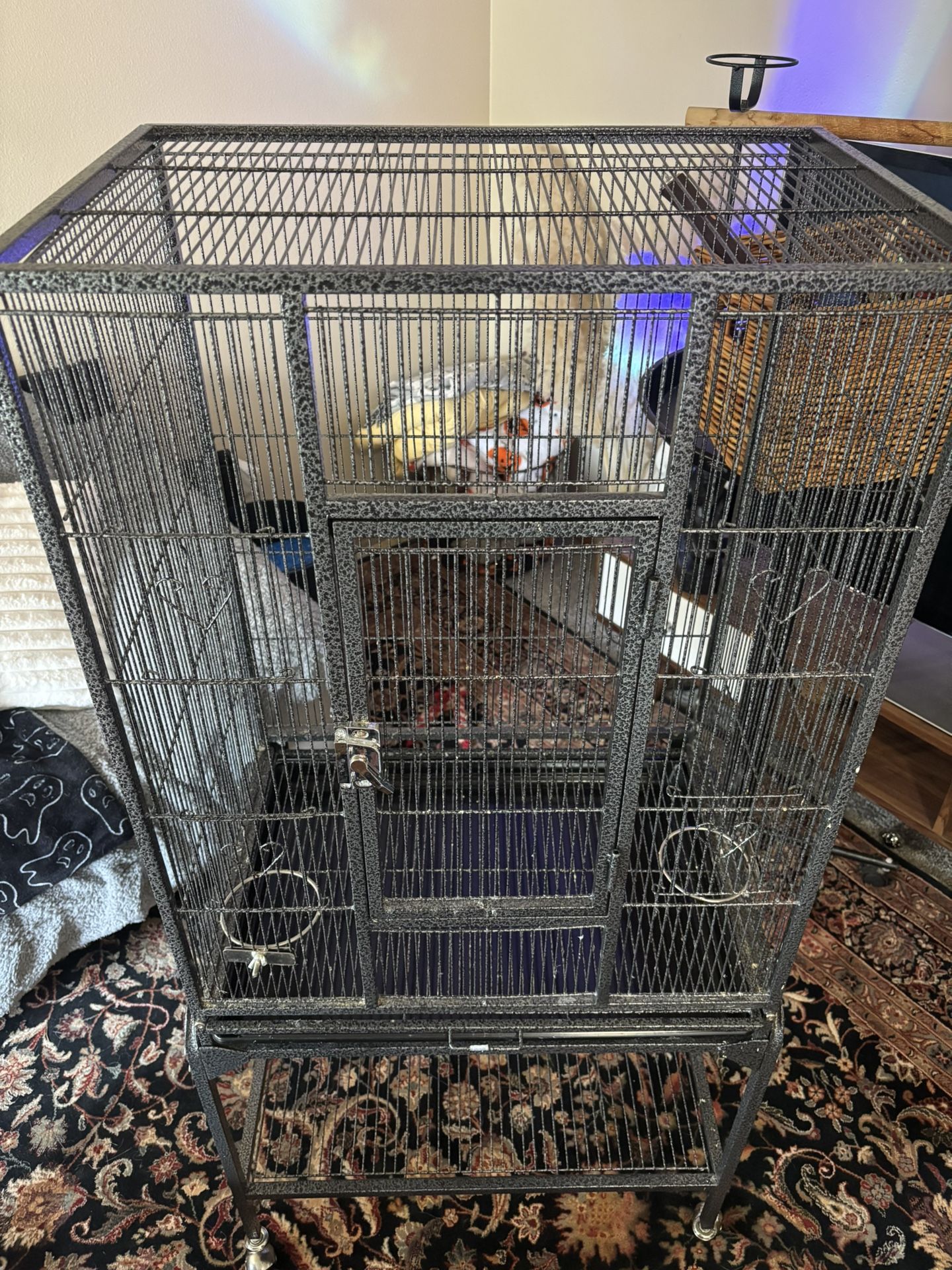 Bird Cage