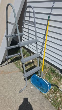 Pool ladder and net