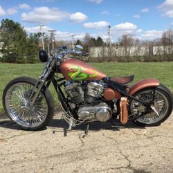2017 Custom Harley Davidson ! 