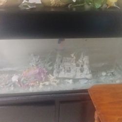 Fish Tank And Cabinet
