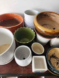 Variety of indoor/outdoor planters