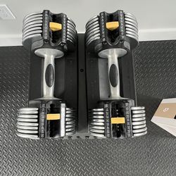 Gold’s Gym Adjustable Dumbbell Weights 