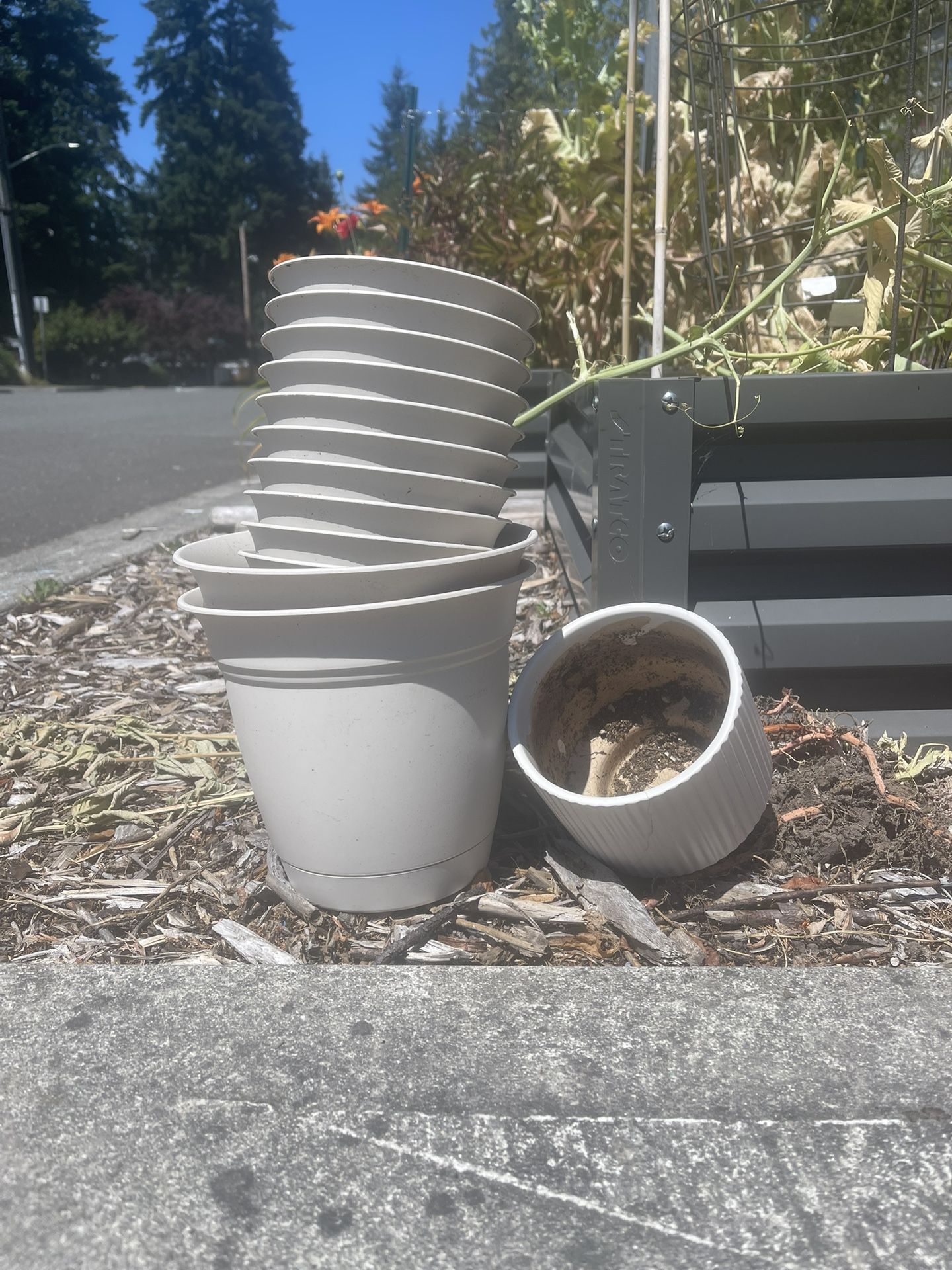 Plastic Plant Pots