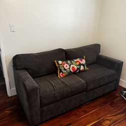 Living Solaces sleeper Sofa