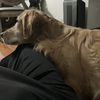 SleepyCantF2W