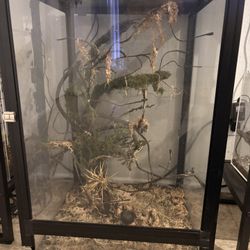 Reptile Enclosure 