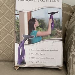 Window Steam Cleaner