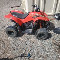 50cc Polaris Scrambler