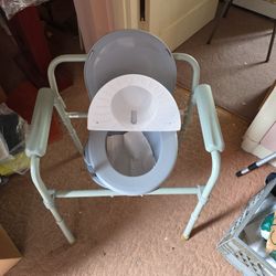 Portable Travel Potty