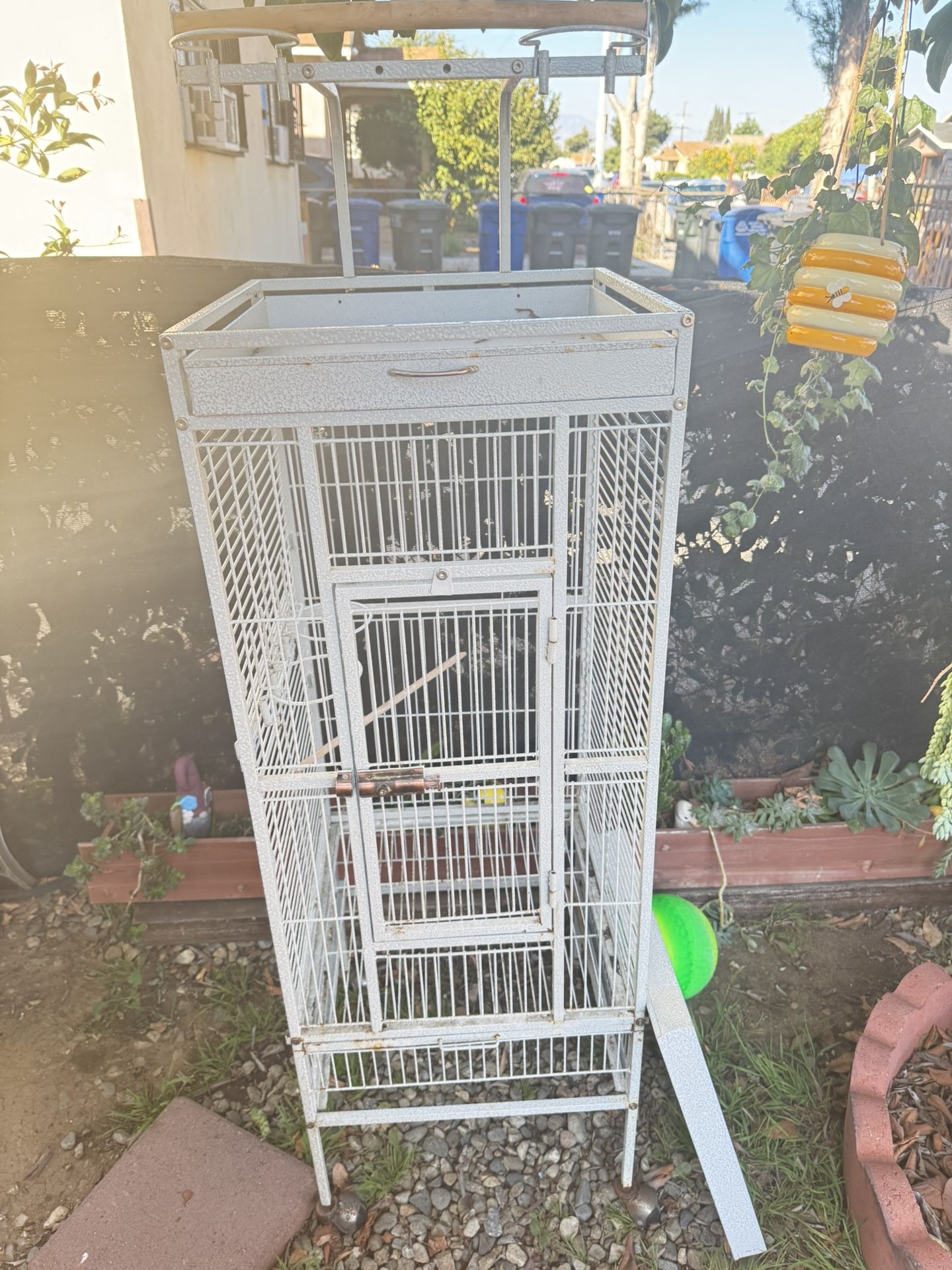Bird 🦅 Cage 
