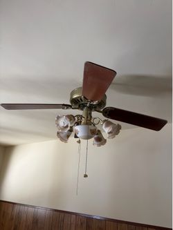 Ceiling fan