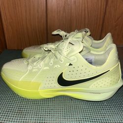 Brand New Nike ZoomX Running Shoes