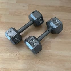 20 LB Dumbbells