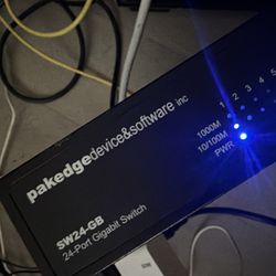 Pakedge SW24-GB