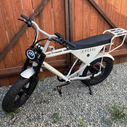 Pedal Electric Bike