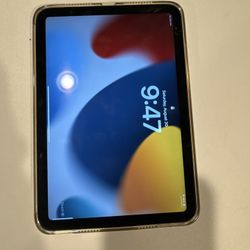 iPad Mini 256