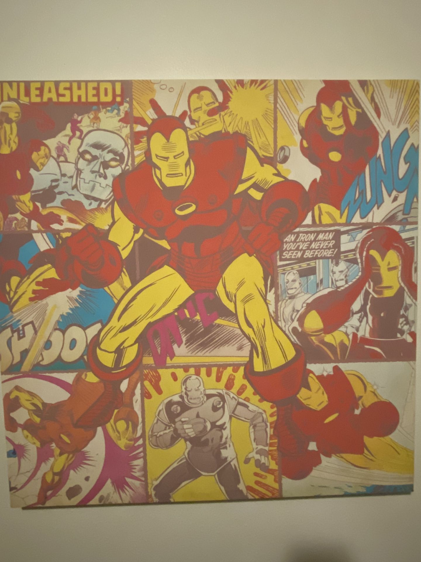 Iron Man Photo