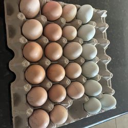 Eggs 🥚 $6 Dozen 