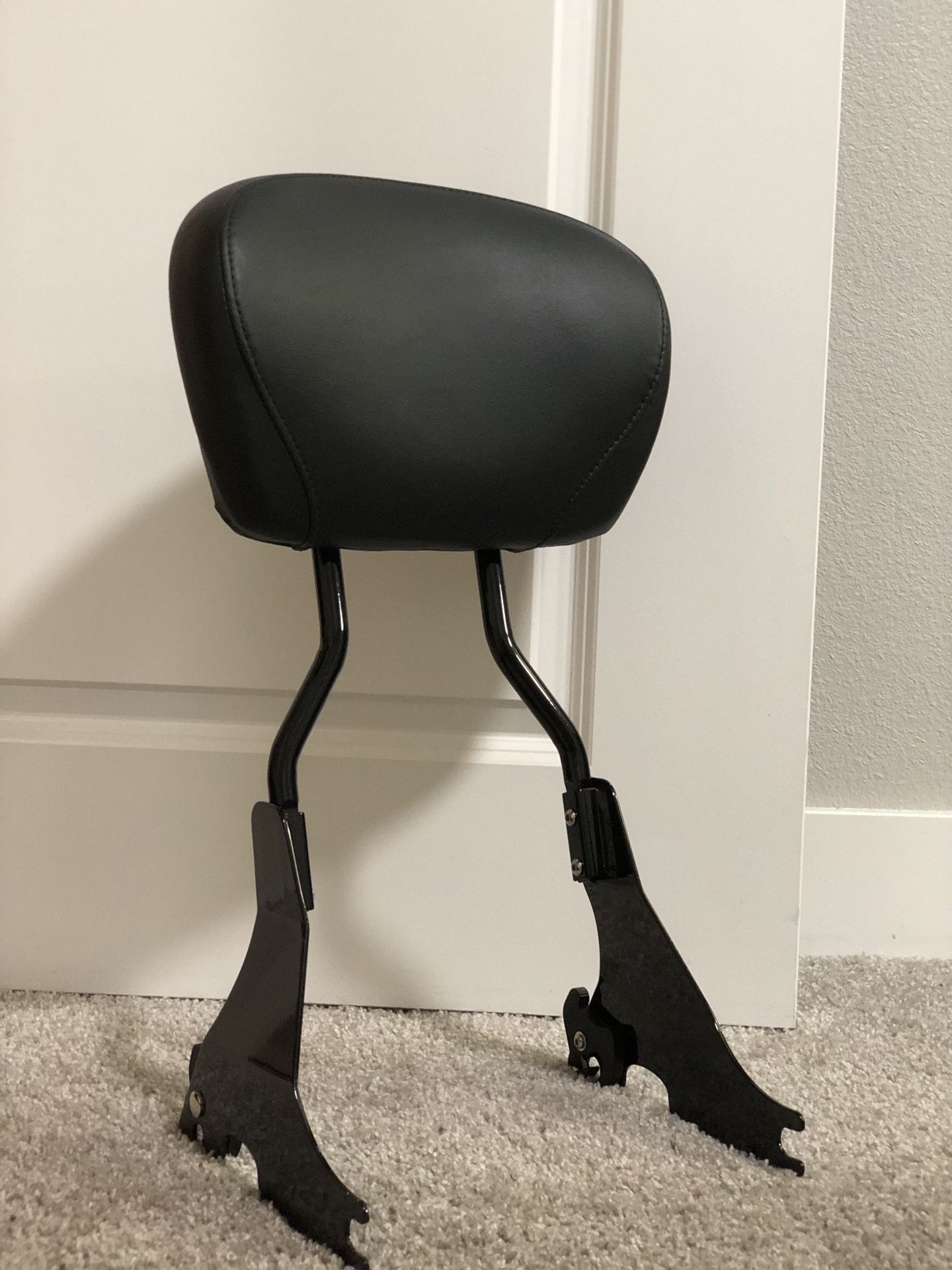 BRAND NEW Harley Davidson Passenger Sissy Bar, Passenger Seat Pad