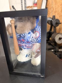2002 Chicago Cubs Collectible