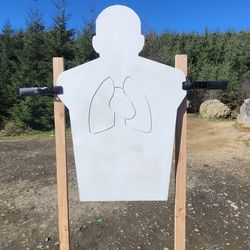 Targets and stands combo