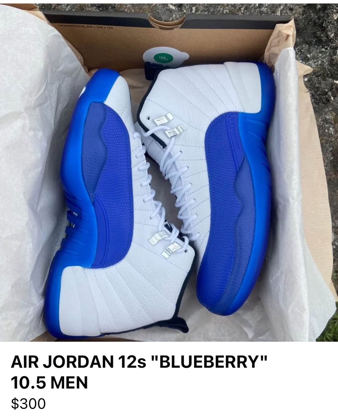 AIR JORDAN 12s "BLUEBERRY" 10.5 MEN