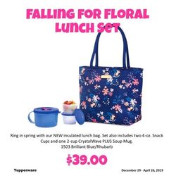 Tupperware Falling For Floral Lunch Set 