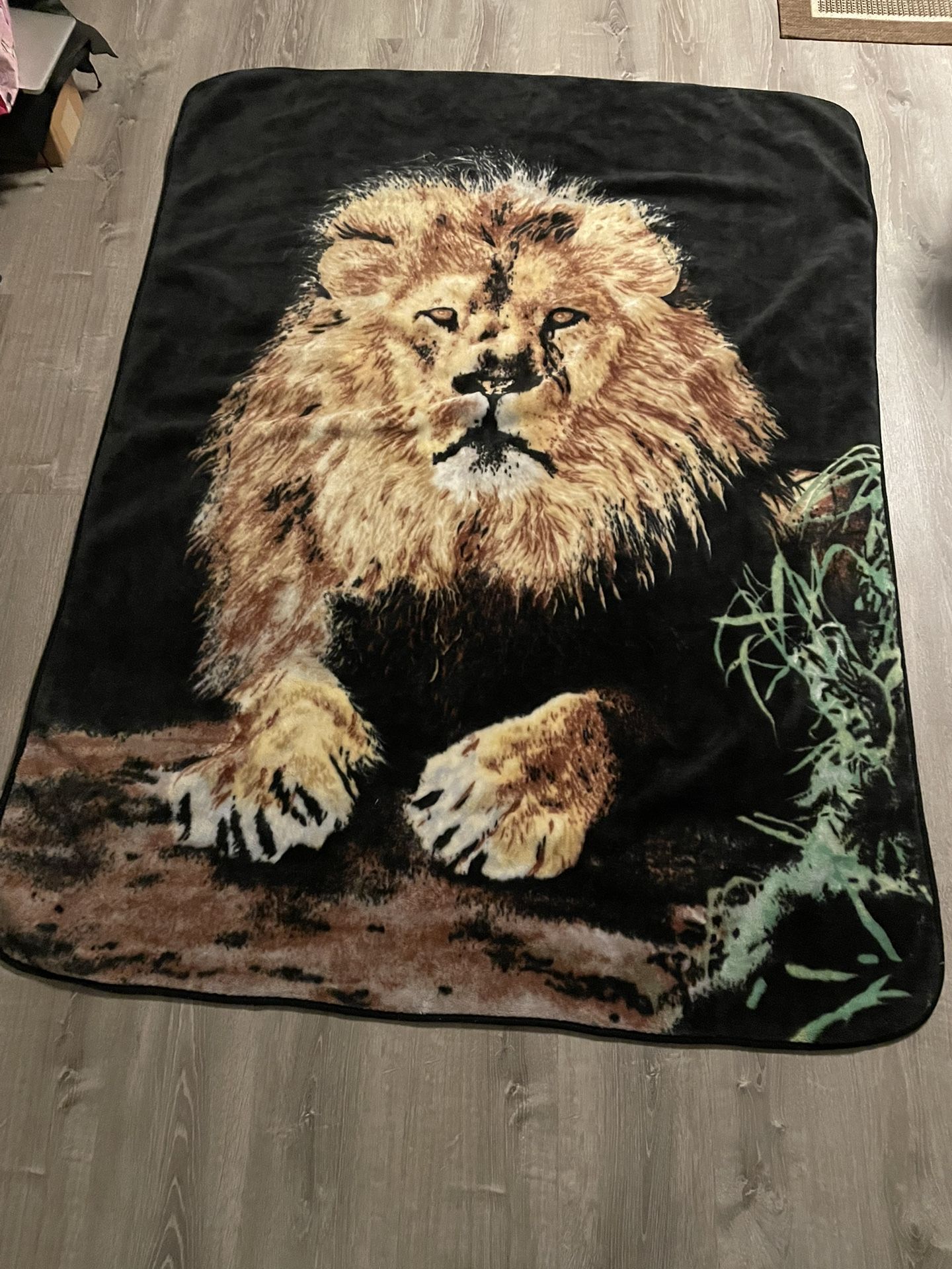 Wool Blanket