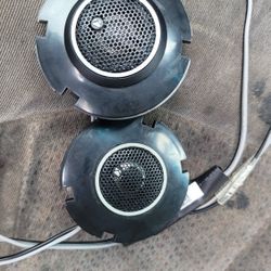 Speaker 