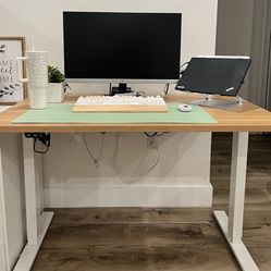 Home Office / Computer Standing Desk