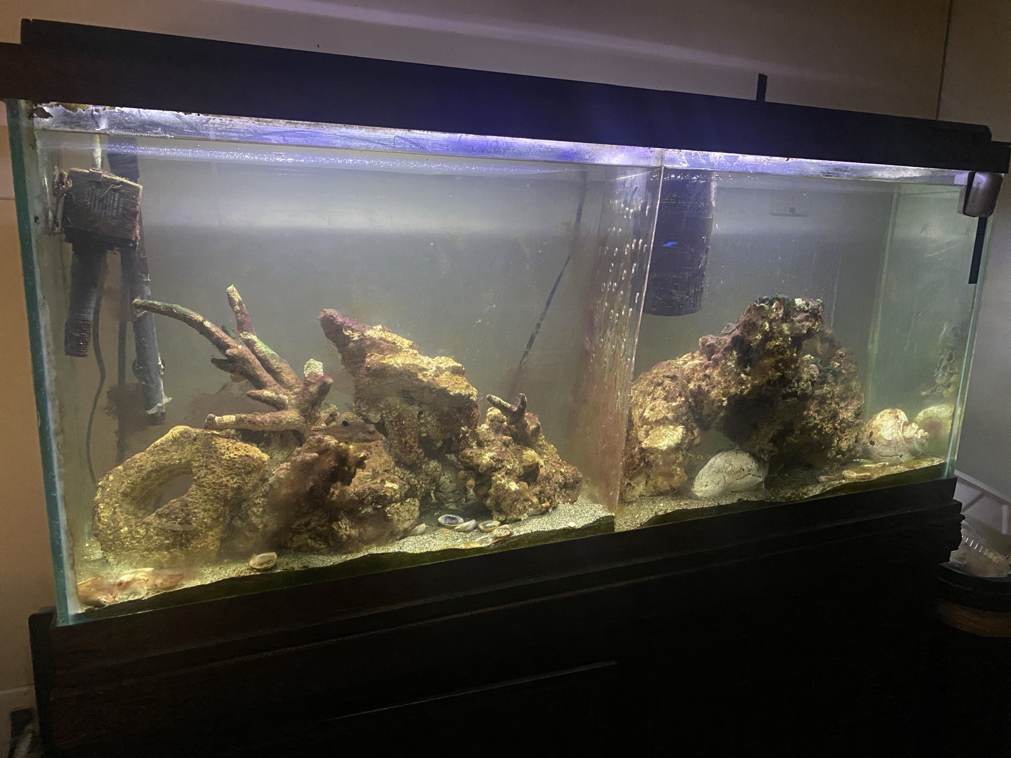 55 Gal Fish Tank