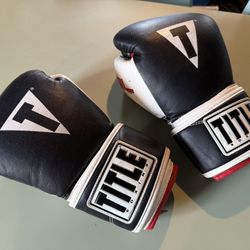 Title Gel Boxing Gloves 12 oz