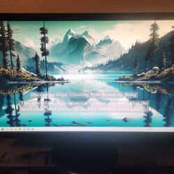 Asus Computer Monitor 24”