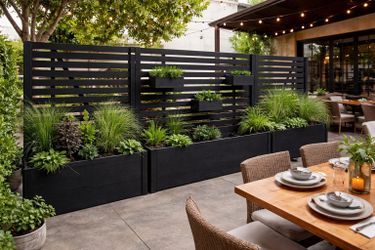 Custom Cedar Planters & Privacy Screens – Modern, Made to Order | Delivery Available