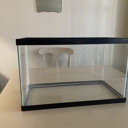 10 Gallon Tank