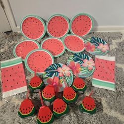 Watermelon Theme Party Supply Bundle