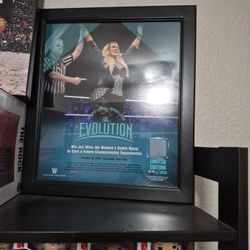 wwe evolution Nia Jax win