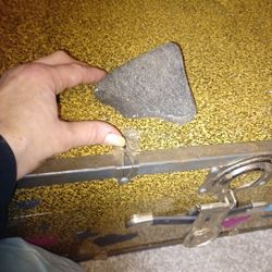 Fossilized, dinosaur bone or tooth.