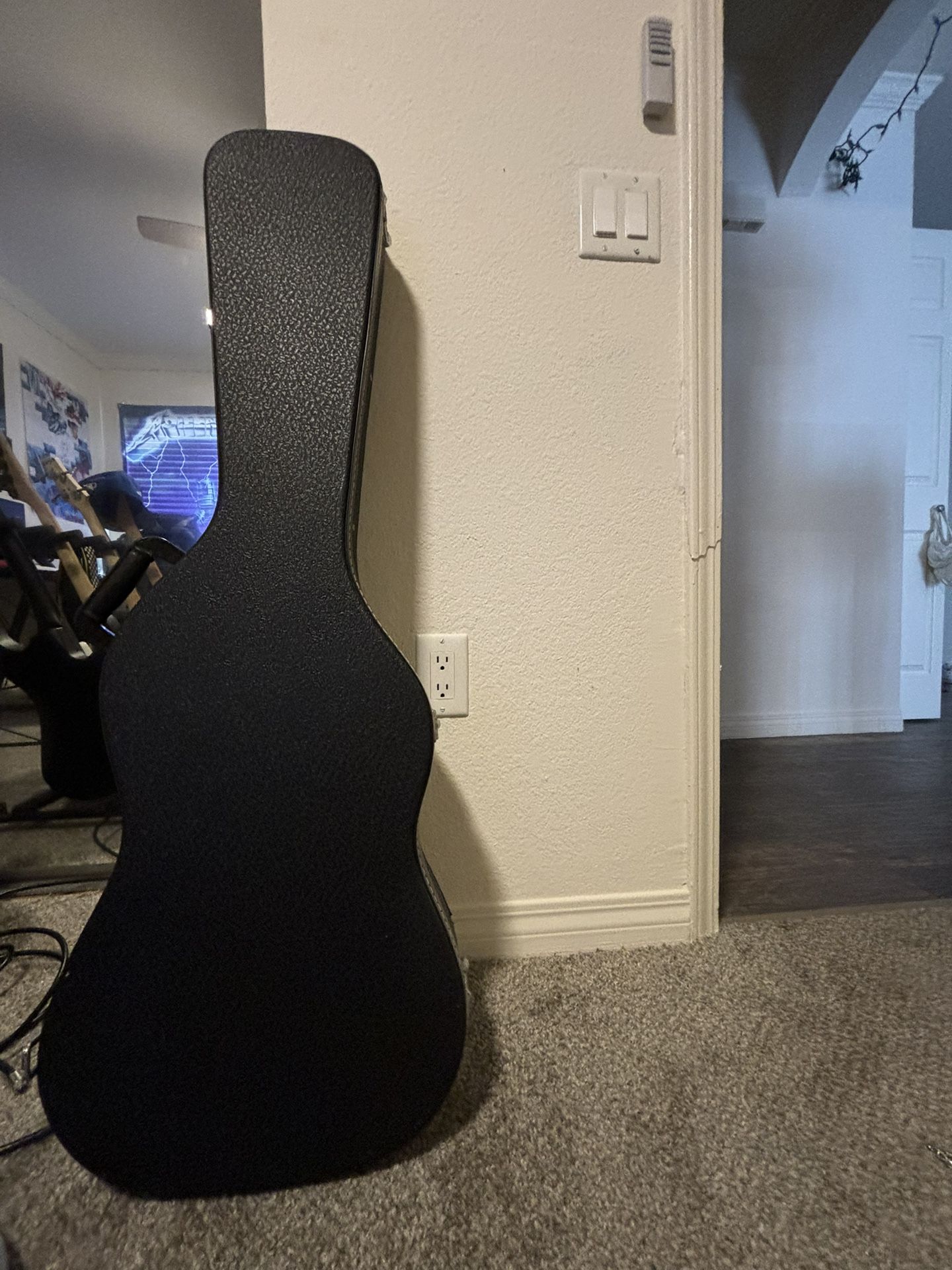 Guitar Case